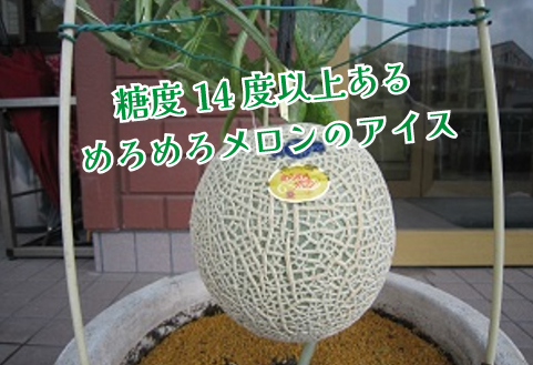 めろめろメロンと完熟マンゴーアイスセット（アイス シャーベット 完熟マンゴー マンゴー メロン スイーツ）