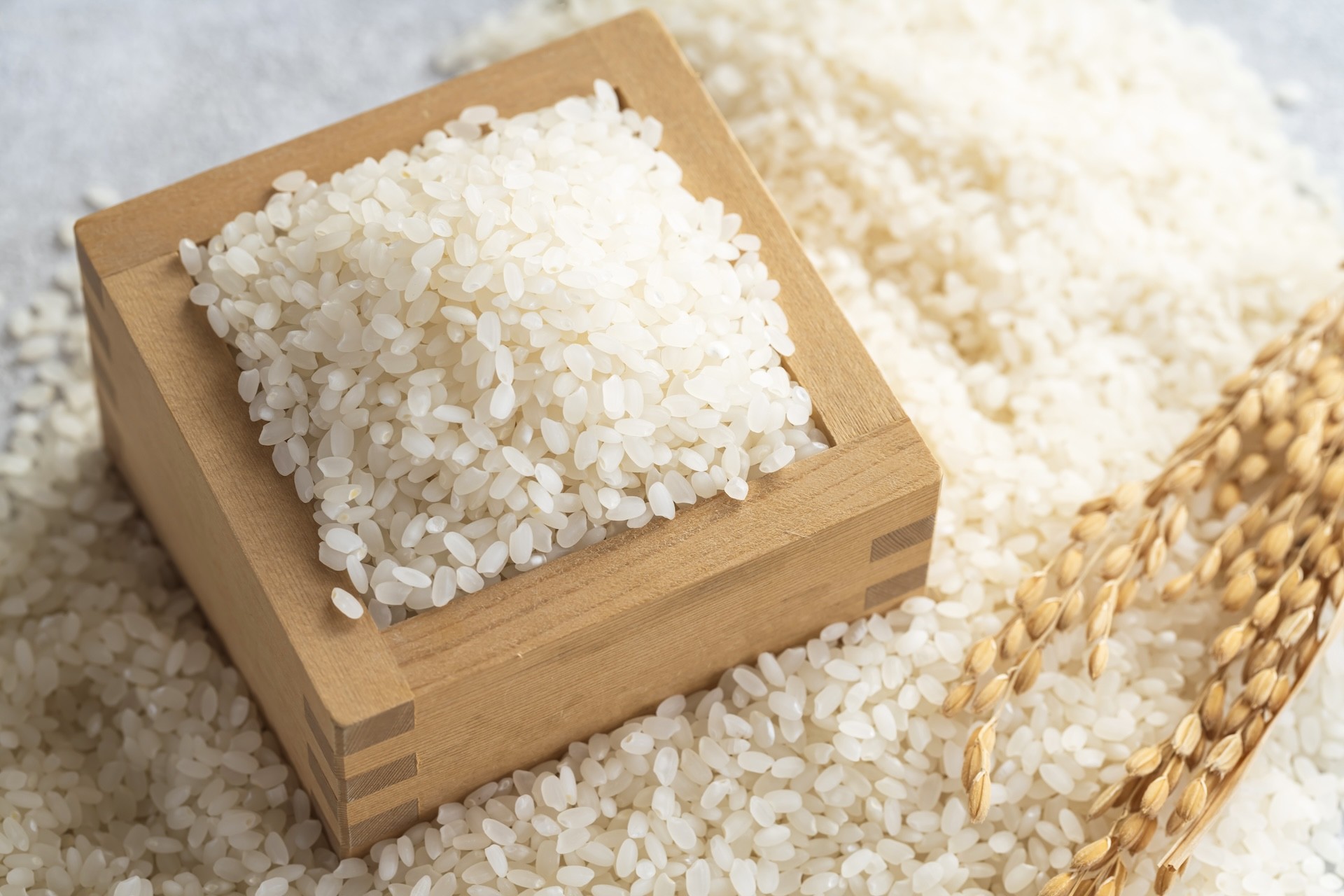 
                  〈令和8年産〉ななつぼし 北海道 和寒町 2kg 5kg 5kg×2 10kg 精米 米 お米 北海道米 おこめ わっさむのおこめ 新米
                