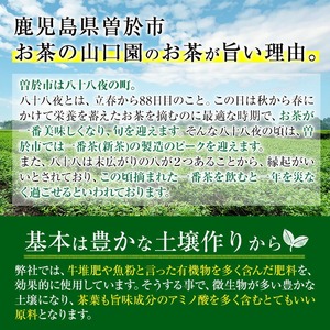 小さい お茶屋 深蒸し 茶 セット 2 鹿児島県産 緑茶【お茶の山口園】B46-v01