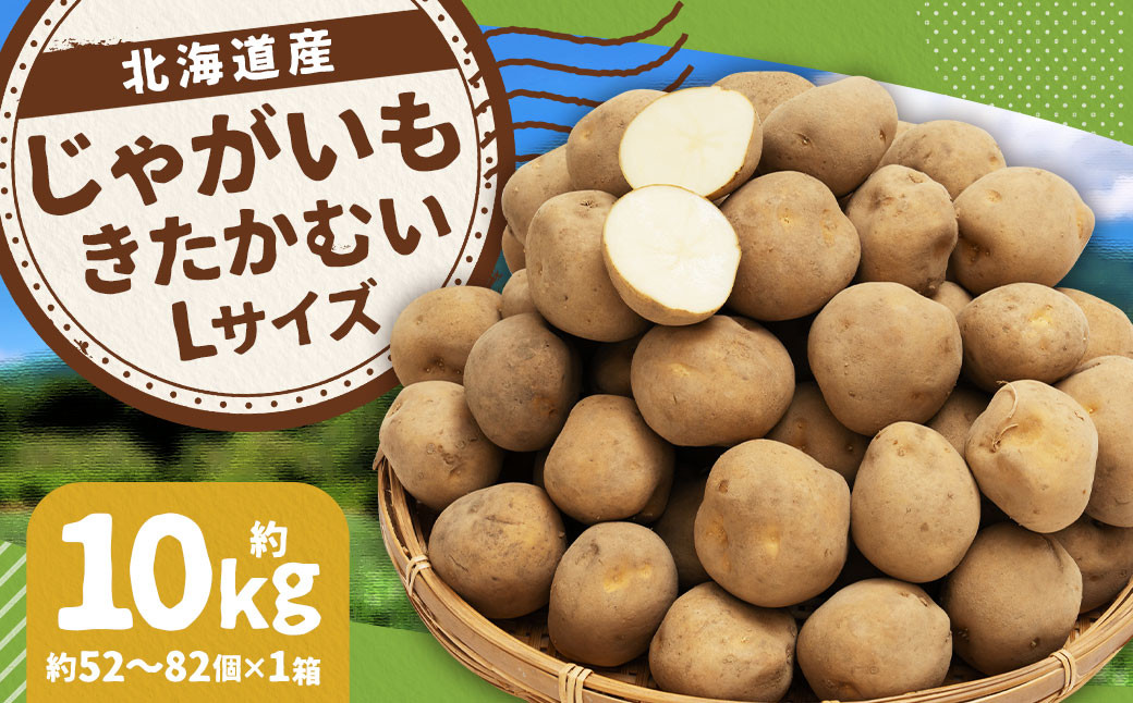 
                  じゃがいも きたかむい Lサイズ 約10kg×1箱 計約10kg （JA） ジャガイモ 芋 いも イモ 国産 【2027年1月上旬～2月下旬迄発送予定】
                
