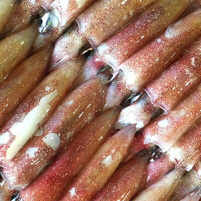 【ふるさと納税】【冷凍便】八幡浜発!「白イカ(剣先イカ)」ドカーンと2kg!【F22-210】_ いか イカ 剣先イカ 剣先いか 剣先 白イカ 白いか 烏賊 魚介 魚介類 海鮮 鮮魚 冷凍 BBQ 簡単調理 愛媛 八幡浜 刺身 新鮮 【配送不可地域：離島】【1043151】