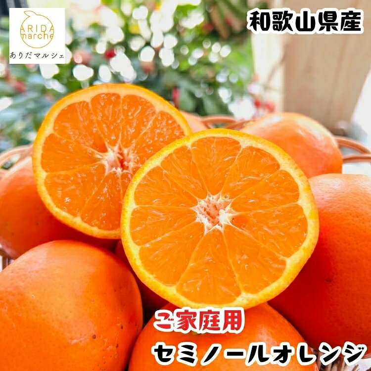【ふるさと納税】 有田 育ちの爽快 セミノールオレンジ ( ご家庭用 わけあり ) / みかん 訳あり オレンジ くだもの 晩柑 柑橘 和歌山 ※2027年4月上旬～5月下旬に順次発送 ※北海道・沖縄・その他離島地域は発送不可