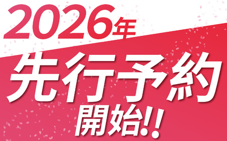 【栃木県共通返礼品】【2026年先行予約】スカイベリー 280g×2P| 年始発送 果物 くだもの フルーツ 野菜 やさい ヤサイ 苺 イチゴ いちご スカイベリー 新鮮 甘い 数量 限定 美味しい 