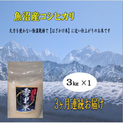 ふるさと納税 魚沼市 【毎月定期便】生産者直送!魚沼産コシヒカリ雪里米(ふるさとまい) 精米 3kg全3回