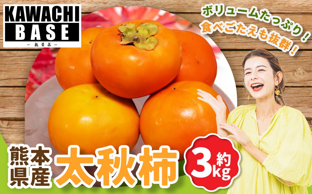 
                  熊本県産 太秋柿 3kg 柿 かき カキ 贅沢 国産 果物 くだもの フルーツ 【2026年10月下旬発送開始】
                