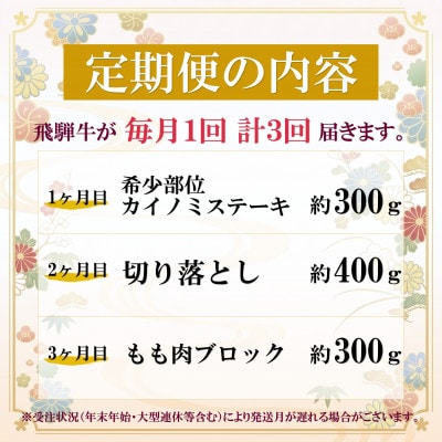 【毎月定期便】飛騨牛 少なめ定期便 計1kg【冷蔵便】全3回 赤身ステーキ 切り落とし 赤身ブロック【配送不可地域：離島】