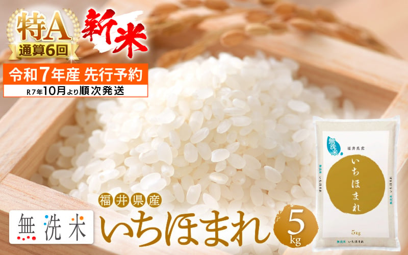 
            【新米・先行予約】令和7年産 無洗米 いちほまれ 5kg 特A通算6回！福井県産【お米 コメ kome 5キロ 精米 白米 便利 時短】【令和7年10月より順次発送予定】 [e27-a034_10]
          