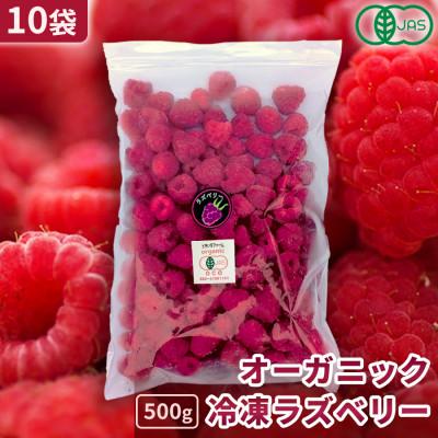 ふるさと納税 帯広市 有機JAS認証 冷凍ラズベリー2種食べ比べ 5kg (500g×10袋)