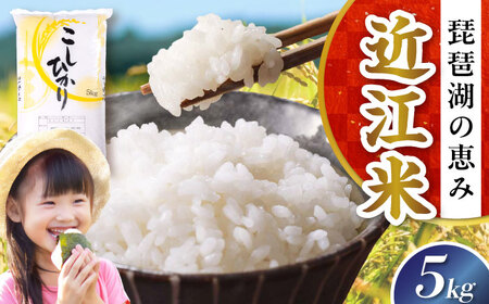 【令和7年産新米】コシヒカリ 5kg 白米 [AQDH001] こしひかり