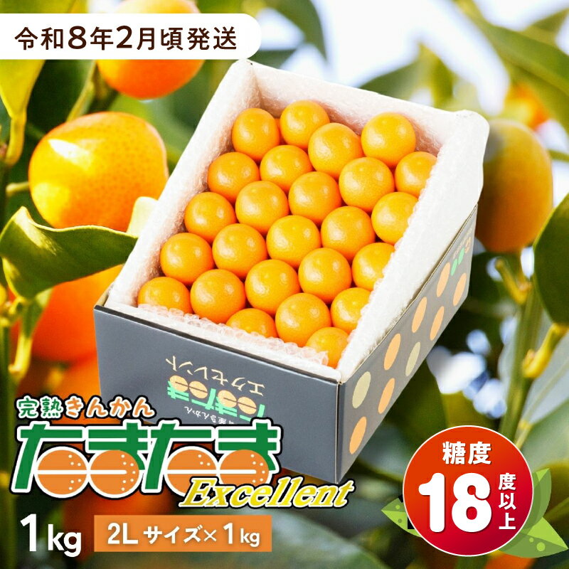 【ふるさと納税】完熟きんかん たまたまエクセレント 1kg 果物 フルーツ デザート スイーツ きんかん きんかんたまたま 完熟 宮崎県産 国産 宮崎産 贈答 贈り物 ギフト プレゼント ブランド 柑橘 柑橘系 柑橘類 おやつ グルメ お取り寄せ 宮崎県 高千穂町 送料無料