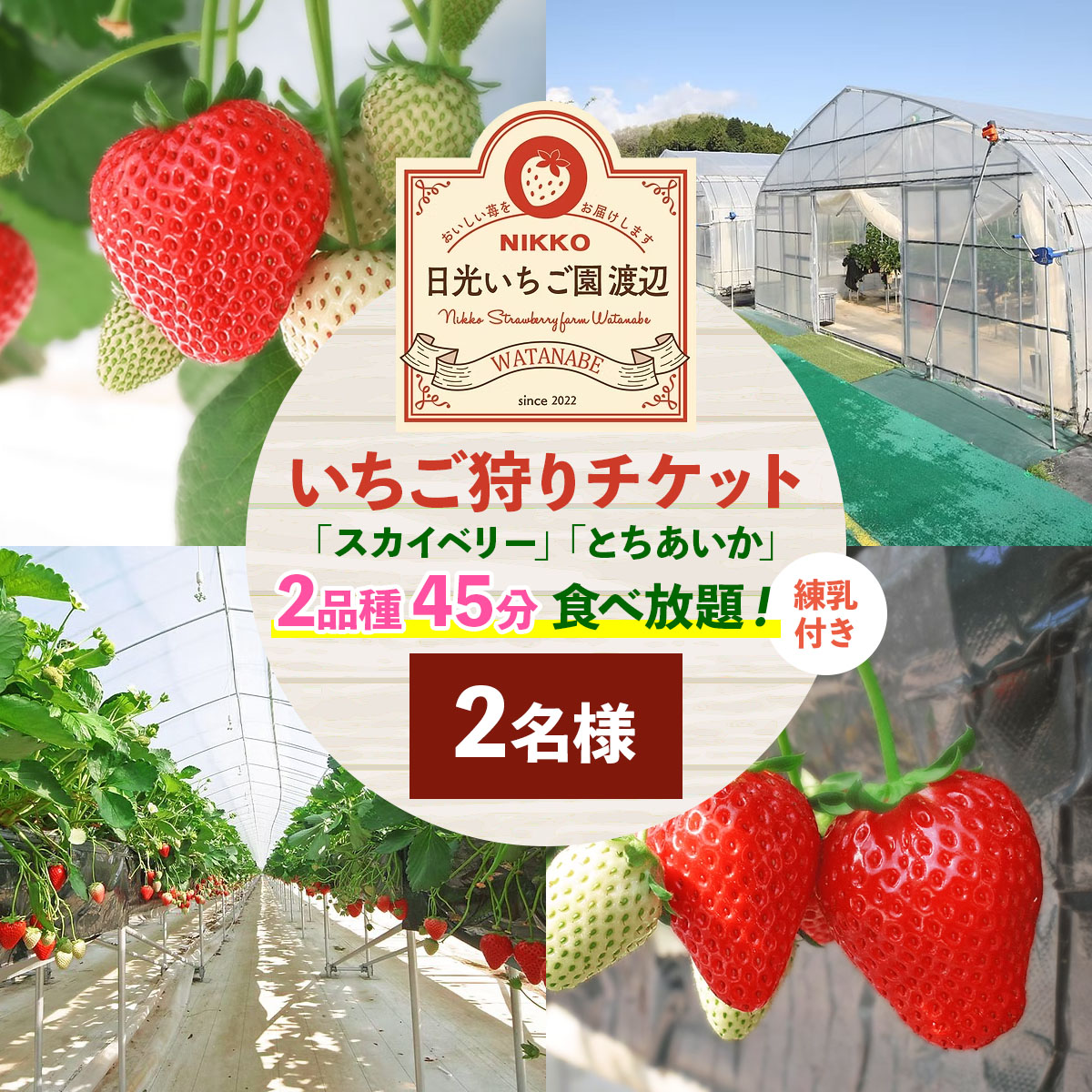 いちご狩りチケット 2名様「スカイベリー」「とちあいか」2品種45分食べ放題！練乳付き！【日光いちご園 渡辺】｜イチゴ狩り 収穫体験 フルーツ狩り 入園券 観光 旅行 イチゴ 苺 フルーツ 果物 果実 日光市 [0847]