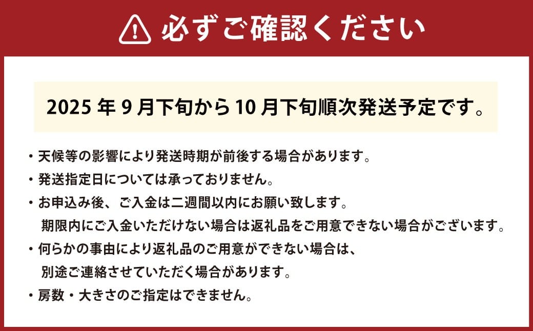 【先行予約】厳選シャインマスカット約800g 1房入り【2025年9月下旬-10月下旬発送予定】