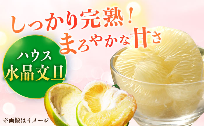 南国土佐の女王柑橘 水晶文旦 約5kg 7玉入り〈2025年9月中旬～2025年12月下旬頃発送〉/ 大玉サイズ ぶんたん 文旦 フルーツ 高知名物 果物 【フルーツショップオザキ】 [ATAH010