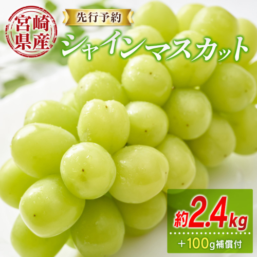 ＜先行予約＞シャインマスカット 3～4房 約2.4kg+100g補償付 宮崎県産 ※2026年8月下旬～【C433-26】
