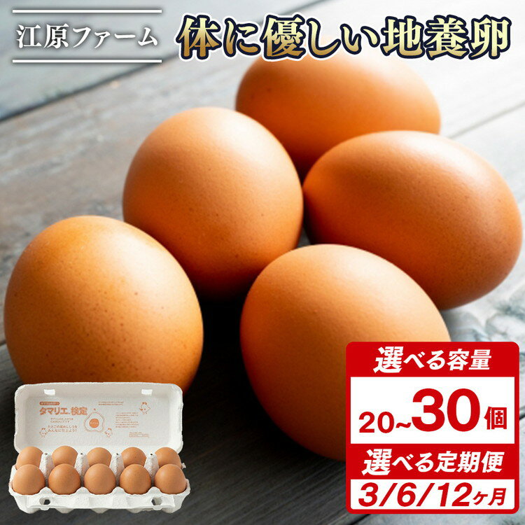 【ふるさと納税】＼選べる個数・回数／ 江原ファーム　体に優しい地養卵（20個・30個）｜卵 たまご タマゴ 生みたて 産みたて 新鮮 濃厚 健康 赤玉 産地直送 _AG22 _AG23 _AG24 _AG13 _AG14 _AG15