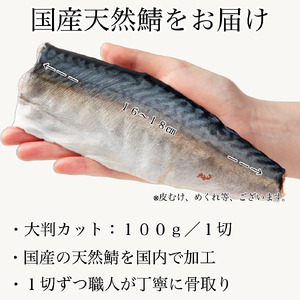 国産鯖の切り身(甘塩)　10切 010192