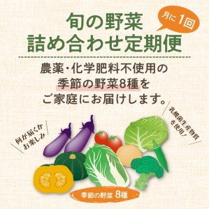 農業姉妹がこだわって栽培！旬の厳選野菜8種 半年定期便【024B-004】