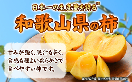 【先行予約】赤秀品 超大玉 刀根早生柿 約 1.7kg 6玉 紀農人株式会社《9月中旬-11月上旬頃出荷》 和歌山県 日高川町 果物 フルーツ 柿 かき 早生柿 旬