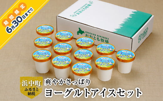 ≪期間限定≫【おおともチーズ工房】ヨーグルトソフトクリーム12個セット_010203
