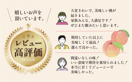 《期間限定》朝採れ 飛騨のこだわり桃 6玉（1.5キロ） 秀品[Q2532] syun71 桃ももモモフルーツ桃ももモモフルーツ桃ももモモフルーツ桃ももモモフルーツ桃ももモモフルーツ桃ももモモフルーツ