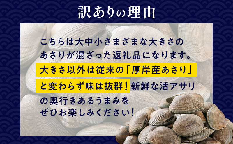 2月発送 北海道 厚岸産 訳あり 活あさり 500g  アサリ 魚貝 海鮮 大粒 美味しい 栄養 旨み 砂出し 水洗い 冷蔵 冷凍保存可能 便利