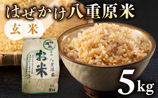 令和7年新米予約！稲作一筋の農家が育てたはぜかけ八重原米5kg（5kg×1袋）玄米　※2025年11月上旬以降順次発送｜山陽農園　コシヒカリ 特A良質米