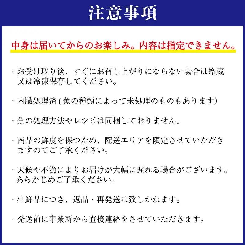 伊勢湾直送 なにが届くかな 明和の海産ガチャ Sサイズ 魚 貝 干物 海藻 新鮮 海鮮 海産 直送 海 漁師 おまかせ 旬 季節 お楽しみ 選べる内容量 I52