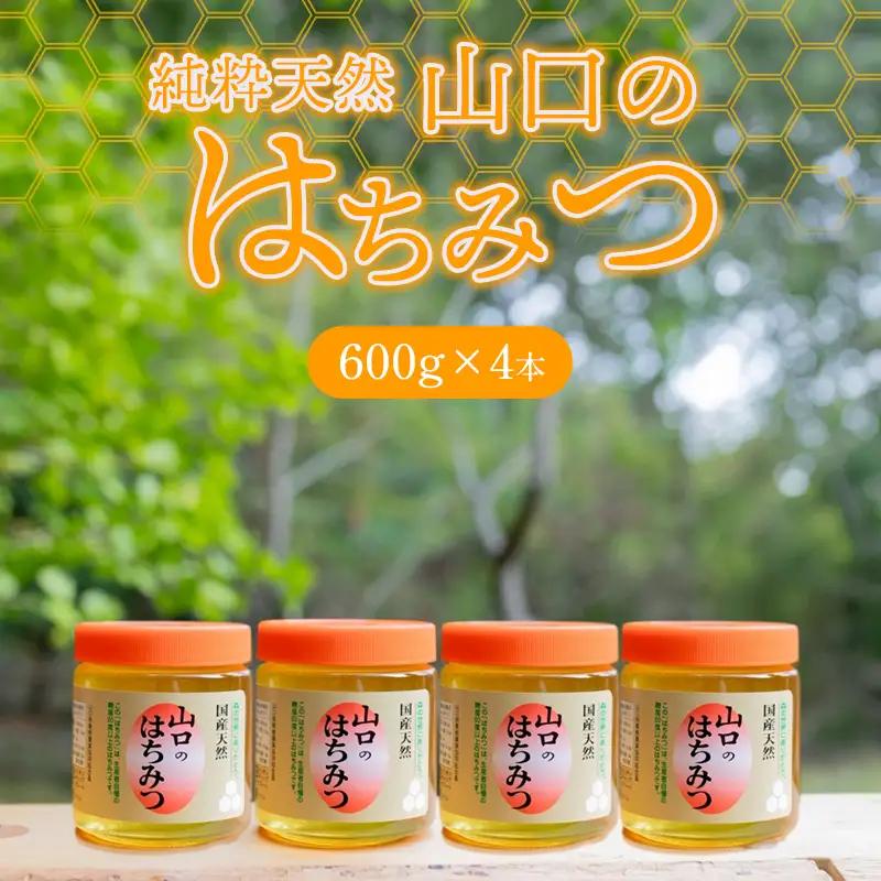 純粋天然 山口のはちみつ600g 4本