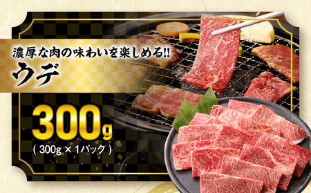 オンライン決済限定【令和8年5月配送】宮崎牛 赤身 霜降り 焼肉 3種 食べ比べ セット 合計900g_CD64-24-05