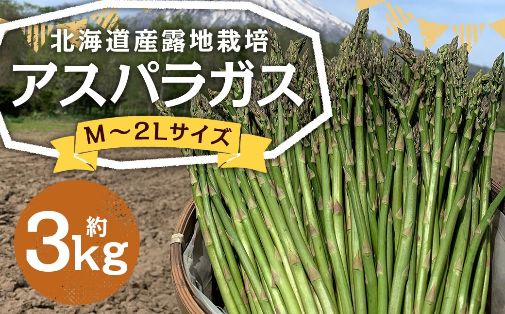 
            北海道産 露地栽培 アスパラガス M～2L 約3kg 【2026年5月下旬～6月上旬迄発送予定】 グリーンアスパラガス アスパラ 野菜 北海道 京極町 冷蔵
          