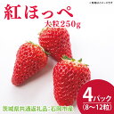 【ふるさと納税】紅ほっぺ 大粒250g（8〜12粒）×4パック（茨城県共通返礼品：石岡市産）合計約1kg　※2024年12月初旬～2025年3月下旬頃に順次発送予定(CD002-1）