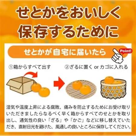 とろける食感!ジューシー柑橘　せとか　約3kg【日高町】【1216962】