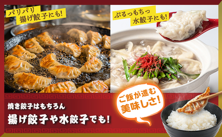 餃子&「観音池ポーク」プレーン・チーズメンチカツのセット_AA-9231_(都城市) 国産豚使用 餃子 観音池ポーク プレーンメンチカツ/チーズメンチカツ
