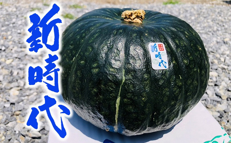 
            「新時代」かぼちゃ
          