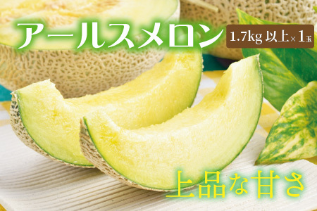 【先行予約】【定期便 2回コース】フルーツ定期便2回(アールスメロン1玉 1.7kg以上 ＆ シャインマスカット1房) 【2026年8月中旬以降順次発送予定】 [B-3216]