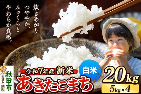 《令和7年産 新米》 米 あきたこまち 20kg（5kg×4袋） 【白米】 秋田県産