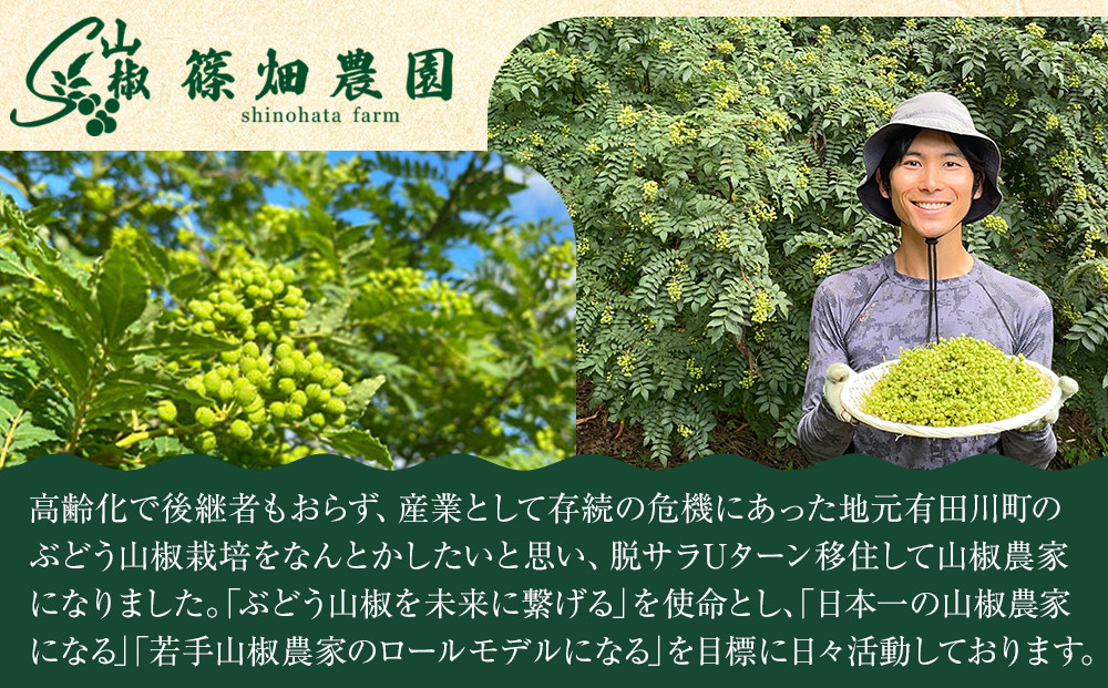 紀州ぶどう山椒【粉】 1袋 (6g) 篠畑農園