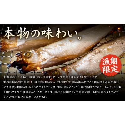 ふるさと納税 日高町 北海道産 ししゃも オス M30尾 有限会社阿部水産《14日以内に出荷予定》 |  | 01