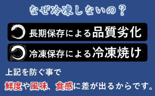 【食べログ高評価】国産うなぎ炭火焼 かば焼き2尾 明治27年創業老舗「うなぎの入船」　熟成たれ付<2-29>魚介 蒲焼き ウナギ 鰻 国産 宮崎県西都市 決済完了後30日以内の発送