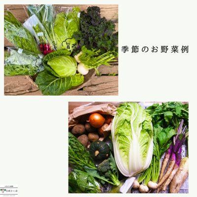 ふるさと納税 佐久穂町 【単発】信州北八ヶ岳からお届け〜のらくら農場の旨み野菜セット〜6種類前後(Sサイズ1〜2人分) |  | 02