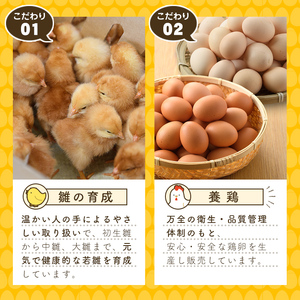 梶原たまご(計60個・10個×6P)卵 玉子 鶏卵 卵かけご飯 玉子焼き【108800200】【カジワラファーム】