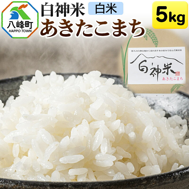 【ふるさと納税】米 あきたこまち 白神米 秋田県産 5kg【白米】令和7年産 [あきたこまち 白米 精米 米 白神米 秋田県産]