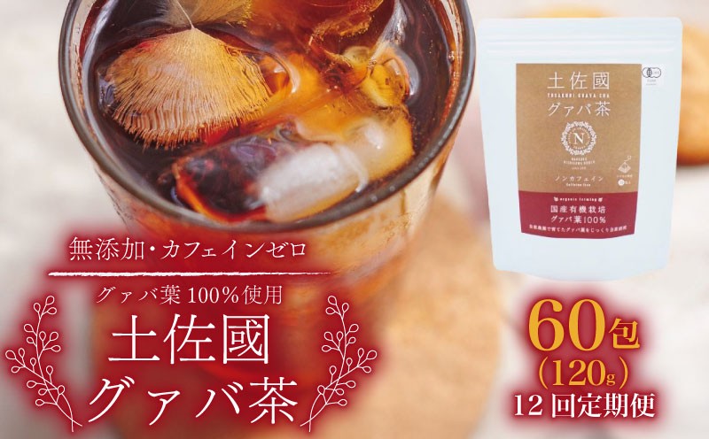 
                  【12回定期便】土佐國グァバ茶 2g×60包 | お茶 飲料 茶 おちゃ 飲み物 グアバ 葉 国産 人気 おすすめ 食物繊維 高知県 南国市
                