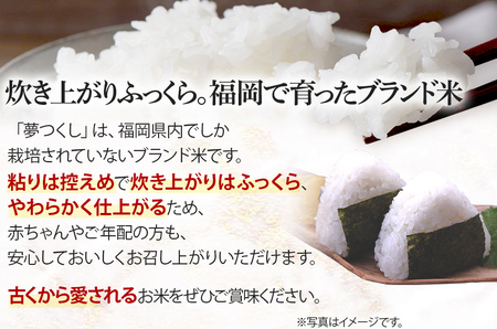 令和5年産　福岡県産ブランド米「夢つくし」無洗米　計10kg