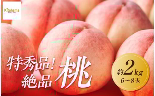 【2025年6月下旬より順次発送】特秀品！絶品「桃」約2kg(6～8玉)