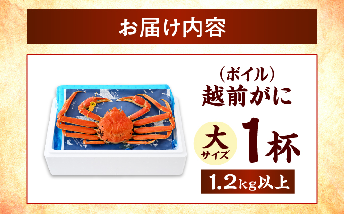 【先行予約/11月7日より順次発送予定】【冷蔵】「若狭小浜港産地直送」 越前がに (ズワイガニ) ボイル 大 1杯 小浜市/加福鮮魚 [BFBC020]【配送不可地域：北海道・沖縄・離島】