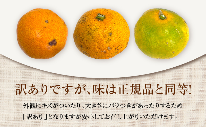 訳あり 温州みかん 計5kg以上 傷み補償分入り 期間限定 数量限定 フルーツ 果物 くだもの ミカン 柑橘 オレンジ 人気 国産 食品 デザート おやつ おすすめ 産地直送 ご家庭用 おすそ分け 特