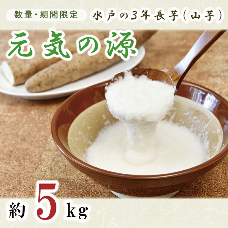【ふるさと納税】【11月中旬より発送】【数量限定】水戸の3年長芋（元気の源）【ながいも 山芋 やまいも 野菜 やさい ムカゴ とろろ 茨城県 水戸市】（HD-1）