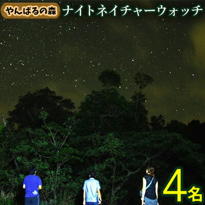 【ふるさと納税】やんばるの森　ナイトネイチャーウォッチ　4名様 やんばる ナイトツアー アドベンチャー 冒険 探検 満天の星空 夜の森 ガイド付き 世界自然遺産 希少生物 やんばる国立公園 亜熱帯 ジャングル 安心 手軽に参加 非日常 特別