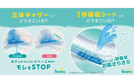 【パンツ】さらさらケア４P＆おやすみパンツ1P［パンパース 紙おむつ 赤ちゃん ベビー 消耗品 日用品 乳児 幼児 子供 オムツ 孫］ ビッグより大×ビッグより大